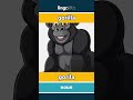 gorilla - gorila video thumbnail