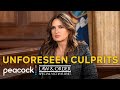 30 Minutes Of Unforeseen Culprits Law Order SVU