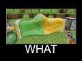 Minecraft realistic wait what meme, Lava, Water, Slime #199