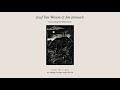 Jozef Van Wissem Jim Jarmusch Concerning The White Horse