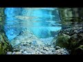 Underwater Sounds 10 Minutes | 🎧 Underwater Ambience Sound Effect
