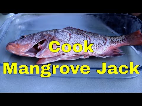 download lagu mp3 mp4 How To Cook Mangrove Jack Whole, download lagu How To Cook Mangrove Jack Whole gratis, unduh video klip How To Cook Mangrove Jack Whole
