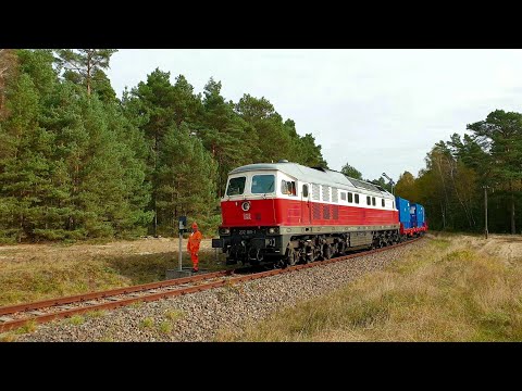 D-DB 232 189-1 mit GX 68659 bei der Einfahrt in den Bahnhof Rheinsberg (Mark)