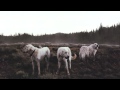 Foxing / Inuit [HD] 