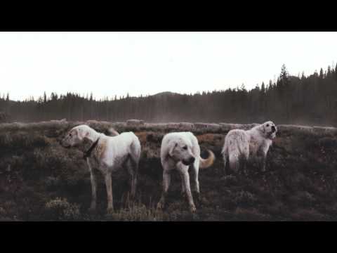 Video thumbnail for Inuit