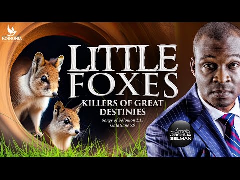 LITTLE FOXES (THE KILLERS OF GREAT DESTINIES) WITH APOSTLE JOSHUA SELMAN |13||04|2025