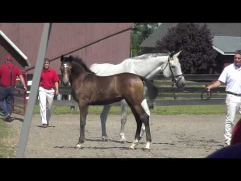Benetta at the GOV Inspection July 11th, 2010