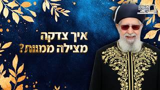 איך צדקה מצילה ממוות? | מרן רבינו עובדיה יוסף זצ''ל (מורשת מרן) - התמונה מוצגת ישירות מתוך אתר האינטרנט יוטיוב. זכויות היוצרים בתמונה שייכות ליוצרה. קישור קרדיט למקור התוכן נמצא בתוך דף הסרטון