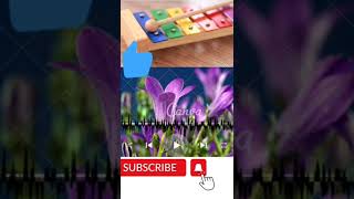 Download lagu CHOTI CHOTI BAATON PE TU MUH NA FULAYA KAR RINGTONE NEW PUNJABI BEST RINGTONE WHATSAPP STATUS mp3 Download lagu CHOTI CHOTI BAATON PE TU MUH NA FULAYA KAR RINGTONE NEW PUNJABI BEST RINGTONE WHATSAPP STATUS mp3