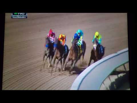 LOS ALAMITOS CASH CALL FUTURITY STAKES 12/9/17 - MCKINZIE !!!