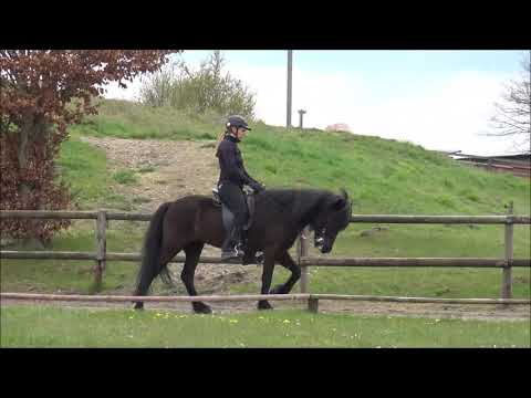 FIZO Kronshof 2021 - Náttrun vom Kronshof