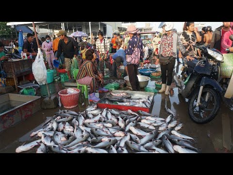 Amazing Site Ditribut SeaFood, Dry Fish, Fish & More Food - Prek Bridge Fish Market Scene Video