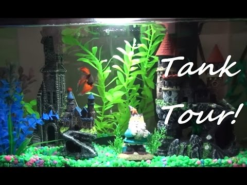 My Betta Draco's Hogwarts Harry Potter Theme Tank Tour!