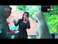 Kalah Materi Chika Kenzo Sri Avista Group Dog Dog Cimahi Kuningan