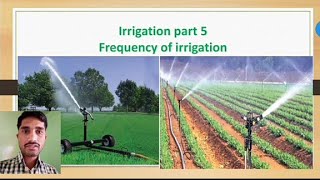 #irrigation part 5|#standard 11 crop science lectures|#frequency of irrigation|#When to irrigate