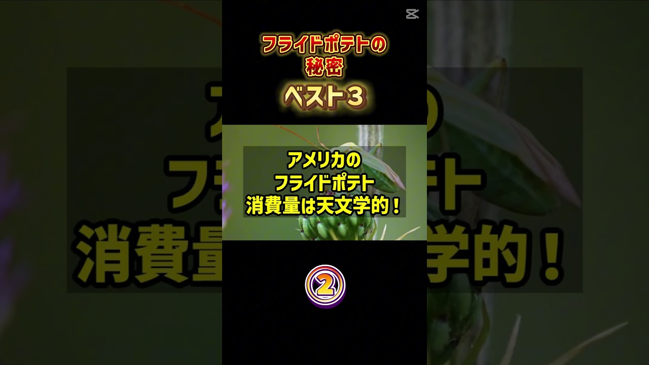 フライドポテトの秘密を教えます