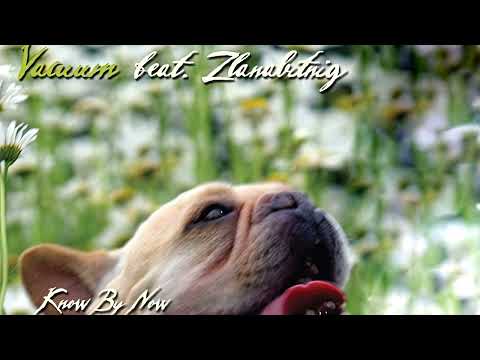 Vacuum feat. Zlanabitnig - Know By Now (Instrumental)