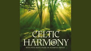 Tommy Peoples / The Maid Behind The Bar (Medley)