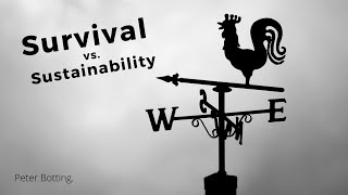 Survival vs. Sustainability: The Perspectives of Business Owners and CEOs