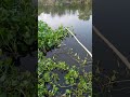 Best Way To Fishing A Fish Using Home Made Fishing Rod