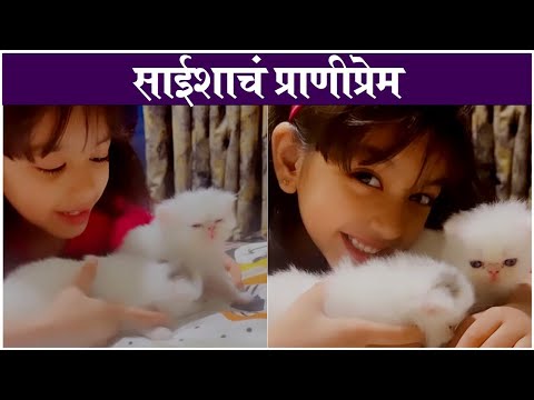 Saisha Playing With Cats | साईशाचं प्राणीप्रेमी | Saisha Bhoir | Rang Maza Vegla
