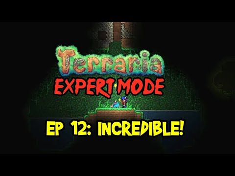 tl pro terraria tl pro terraria