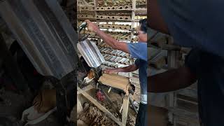 Download lagu Wow amazing Roof tiles #trending #creatives #woodworking #construction #amazing #facts mp3 Download lagu Wow amazing Roof tiles #trending #creatives #woodworking #construction #amazing #facts mp3