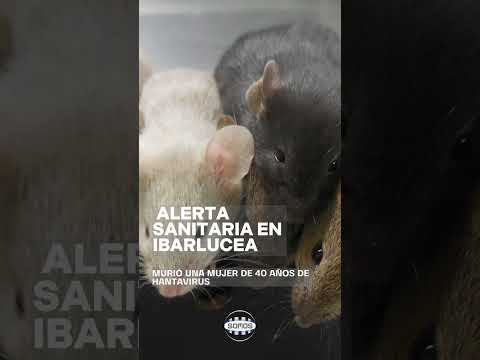 🚨 ¡ALERTA MÁXIMA EN SANTA FE! Confirmaron un caso FATAL de HANTAVIRUS en Ibarlucea.
