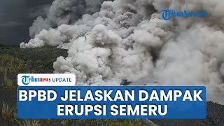 Erupsi Semeru: Jalan MalangLumajang Ditutup, BPBD Ungkap Kondisi Terkini