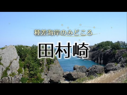 みちのく潮風トレイル「田村崎」