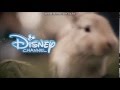 Disney Channel Ident USA 77