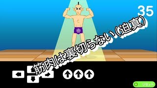 筋肉は裏切らない【実況】