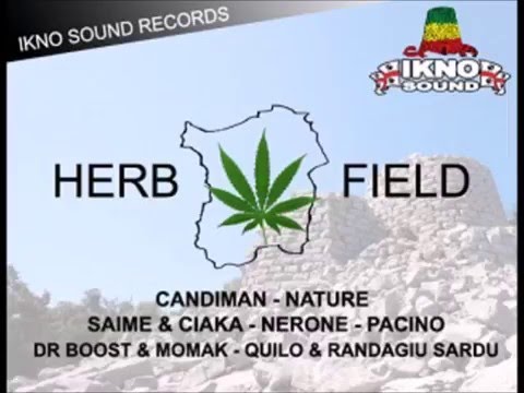 Dr Boost ft  Momak  - S'imbriagone (Herb Field Riddim 2013 By Ikno Sound)