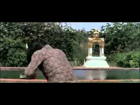 Bruce Lee Not Falling