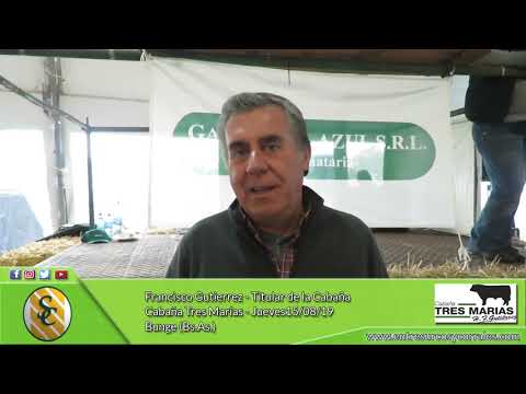 15-08-19 - Francisco Gutierrez - Titular - Cabaña Tres Marías - Bunge (Bs.As.)