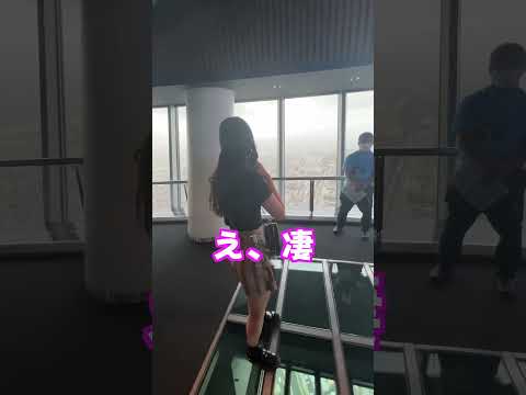 高所恐怖症の妹を目隠しで連れていってみたwww【検証】