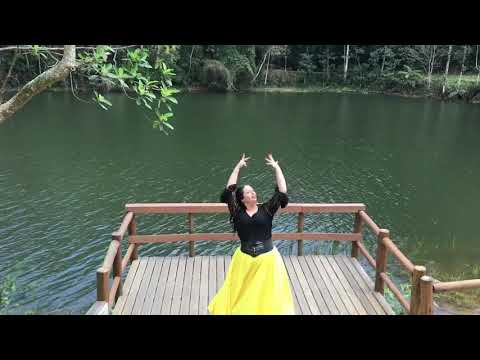 COREOGRAFIA CAMPEÃ VEM CAMINHAR COM OS CIGANOS DA ESPANHA E DO BRASIL (Performance criativa)