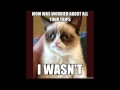 COMPILATION OF GRUMPY CAT - 1 - Song ~ Hot ...