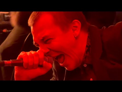 РЕПОРТАЖ FROM БАРАЖ — NEFORMAT