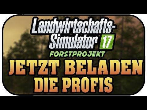 LS17 FORST - JETZT BELADEN DIE PROFIS #008 ★Let's Play Landwirtschaft Simulator 17