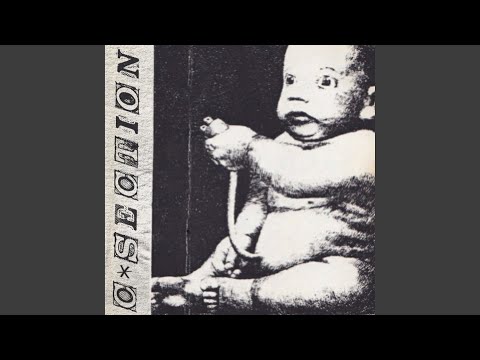 Window Mp3 - Sweet Spine