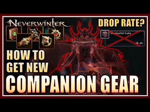 Neverwinter - NEW Companion Gear, Mini Boss Map and Assassin Zone Mechanic Guide!