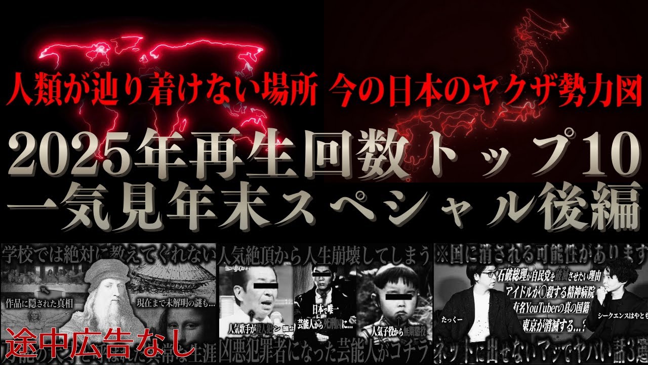 【年末一気見】2025年再生回数トップ10　後編【たっくーtv作業用・睡眠用】