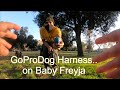 GoPro Camera On Baby Freyja Playing In The Park