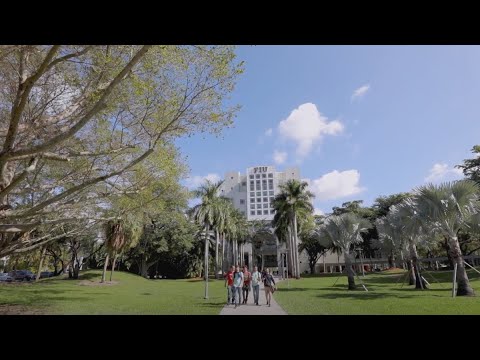 Level Up! | FIU College of Business