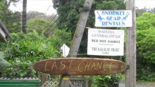 This Day (from the album &quot;Sheltering Tree&quot;)