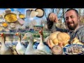 MANTAR CANAVARI OLDUM / KAZ ALMAYA BAŞLADIK / ALPİN KEÇİ YOĞURDU YAPILIŞI /DAĞDA KAHVALTI NASIL OLUR