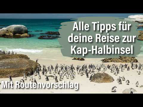 Kap-Halbinsel Route ab Kapstadt – Unsere Tipps zu Stränden, Natur, Sicherheit & Sehenswürdigkeiten