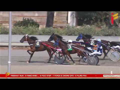 I Corsa del 9 Settembre 2023 - 2 Anni - Metri 1600