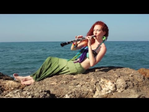 Gevatron - Video Clips